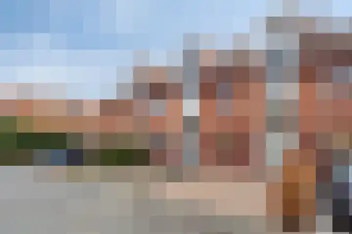 De Does 4 Pijnacker thumbnail 6