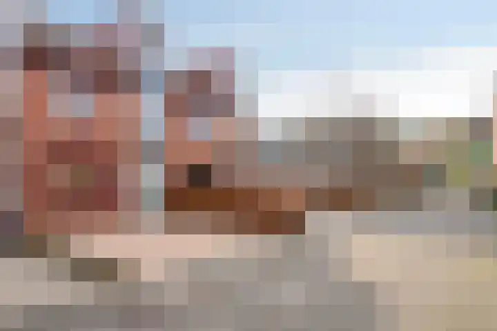 De Does 4 Pijnacker thumbnail 7