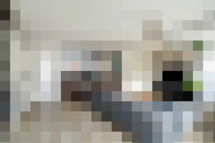 De Does 8 Pijnacker thumbnail 11