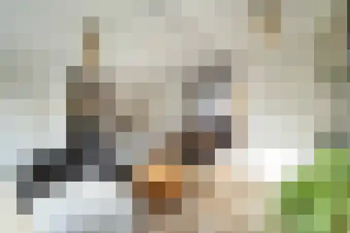 De Does 8 Pijnacker thumbnail 12