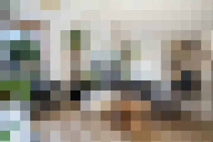 De Does 8 Pijnacker thumbnail 13