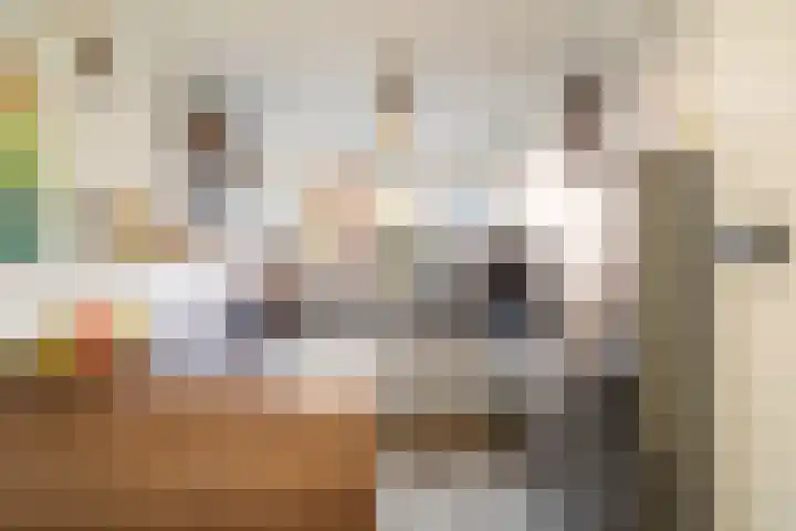 De Does 8 Pijnacker thumbnail 16