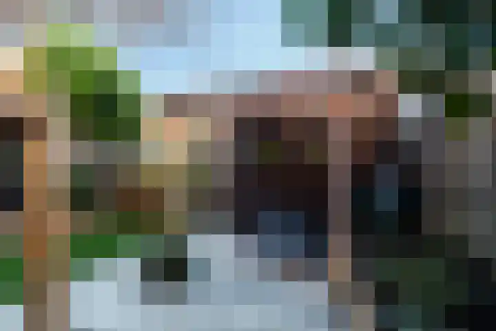 De Does 8 Pijnacker thumbnail 22