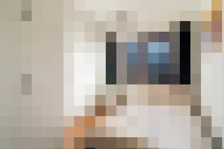 De Does 8 Pijnacker thumbnail 29
