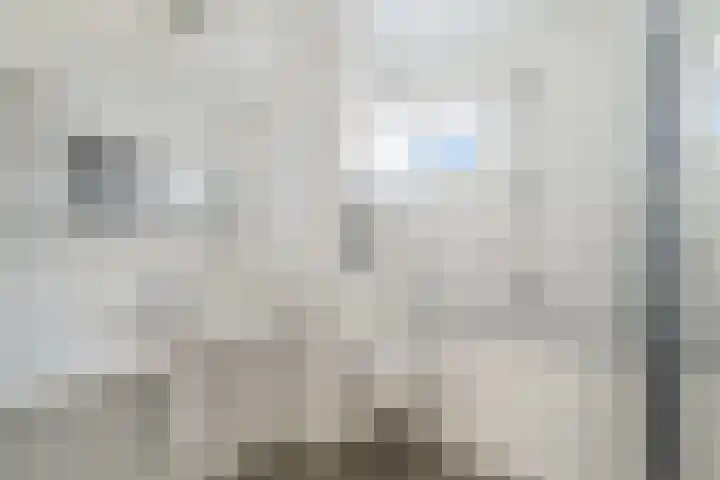 De Does 8 Pijnacker thumbnail 32