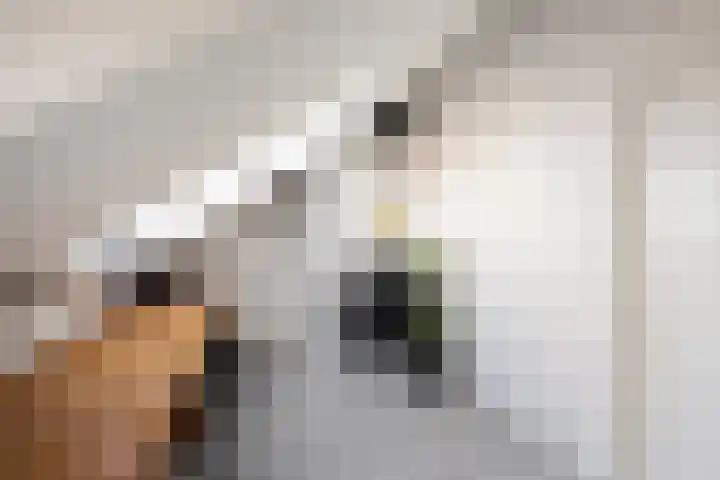 De Does 8 Pijnacker thumbnail 38