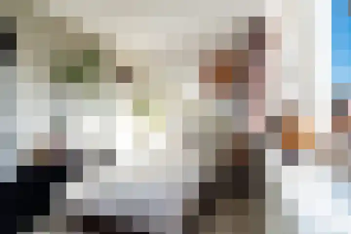 De Does 8 Pijnacker thumbnail 42