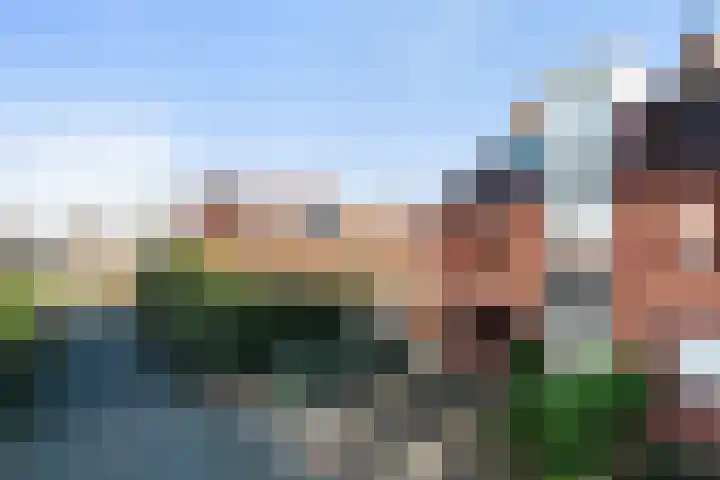 De Does 8 Pijnacker thumbnail 43