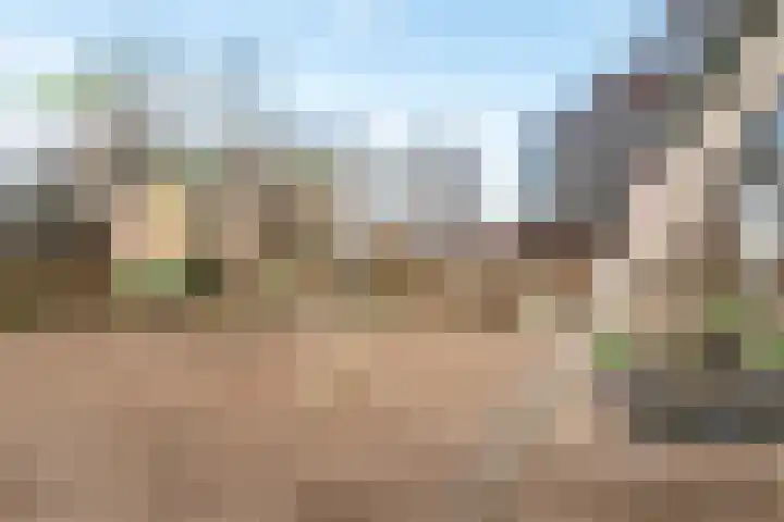 De Does 8 Pijnacker thumbnail 44