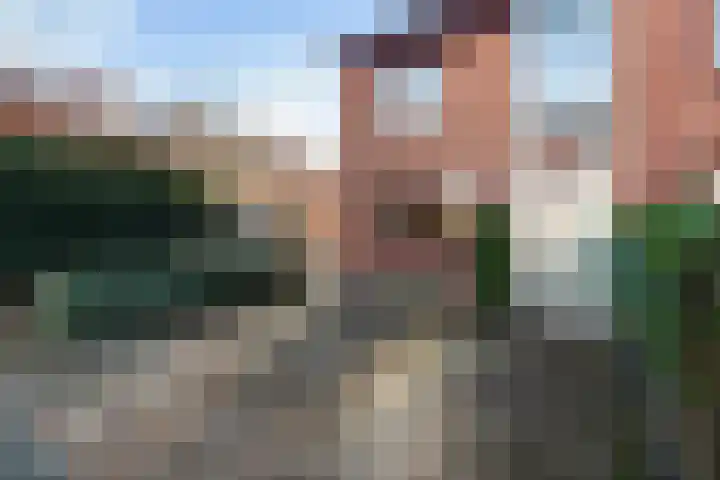 De Does 8 Pijnacker thumbnail 45