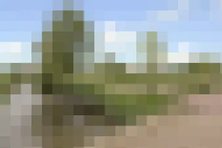 De Does 8 Pijnacker thumbnail 46