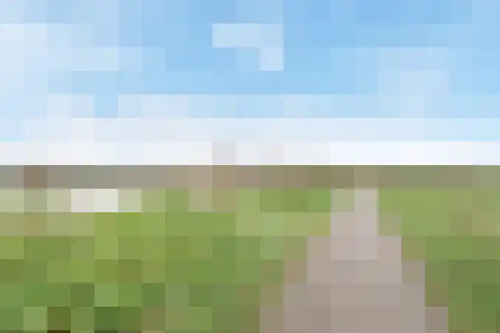 De Does 8 Pijnacker thumbnail 47