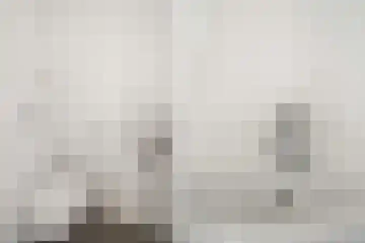 De Does 8 Pijnacker thumbnail 8