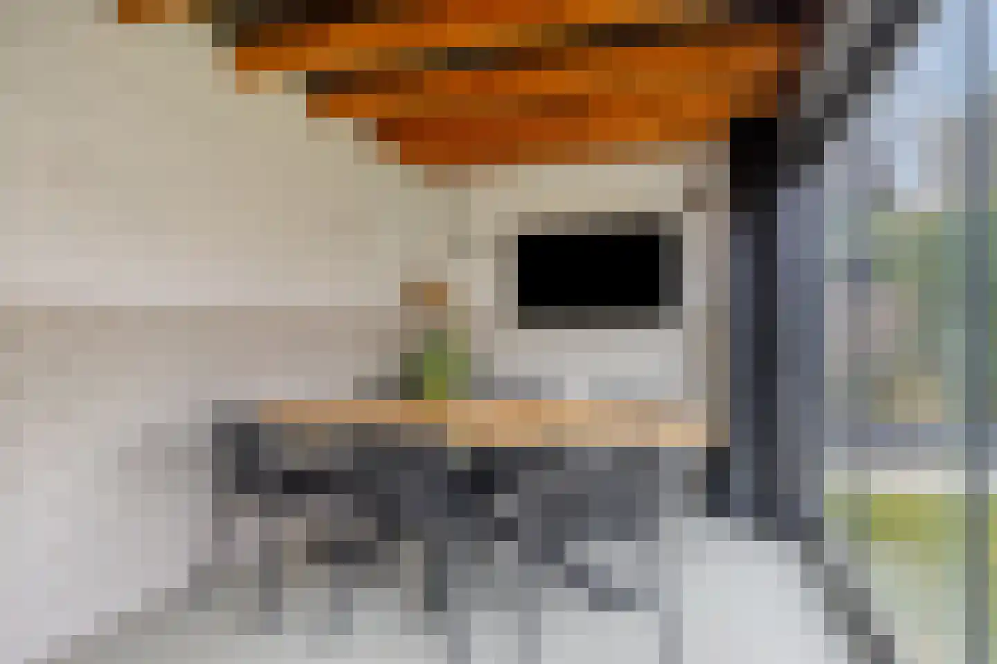 De Doeze 11 Klazienaveen thumbnail 26