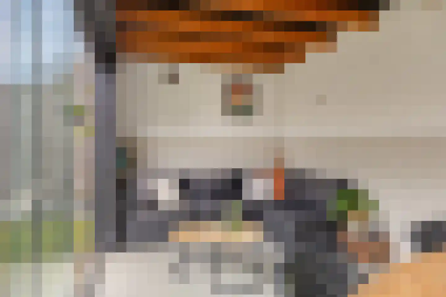 De Doeze 11 Klazienaveen thumbnail 27