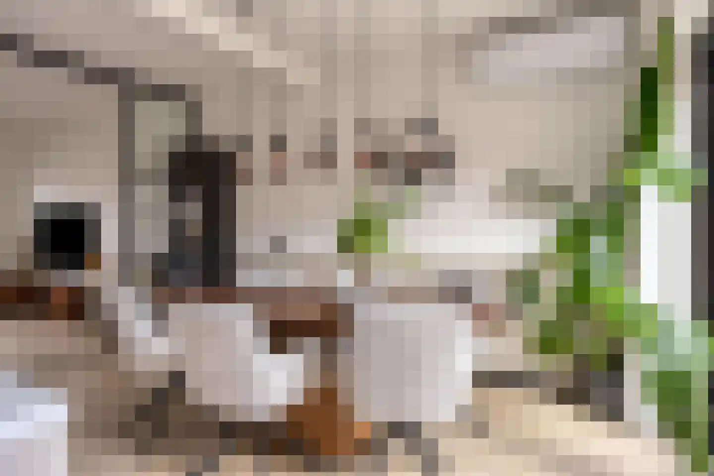 De Doeze 11 Klazienaveen thumbnail 9