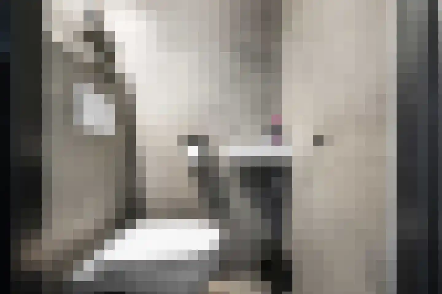 De Doeze 13 Klazienaveen thumbnail 19