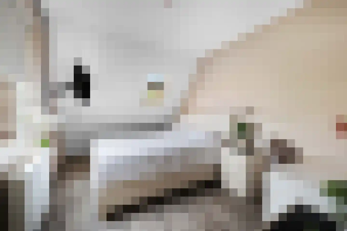 De Doeze 13 Klazienaveen thumbnail 32