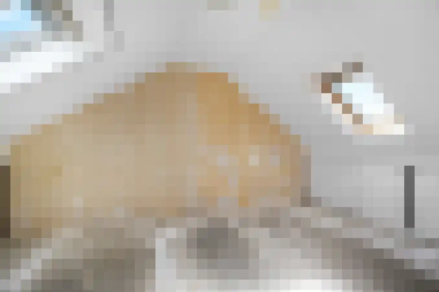 De Doeze 13 Klazienaveen thumbnail 39