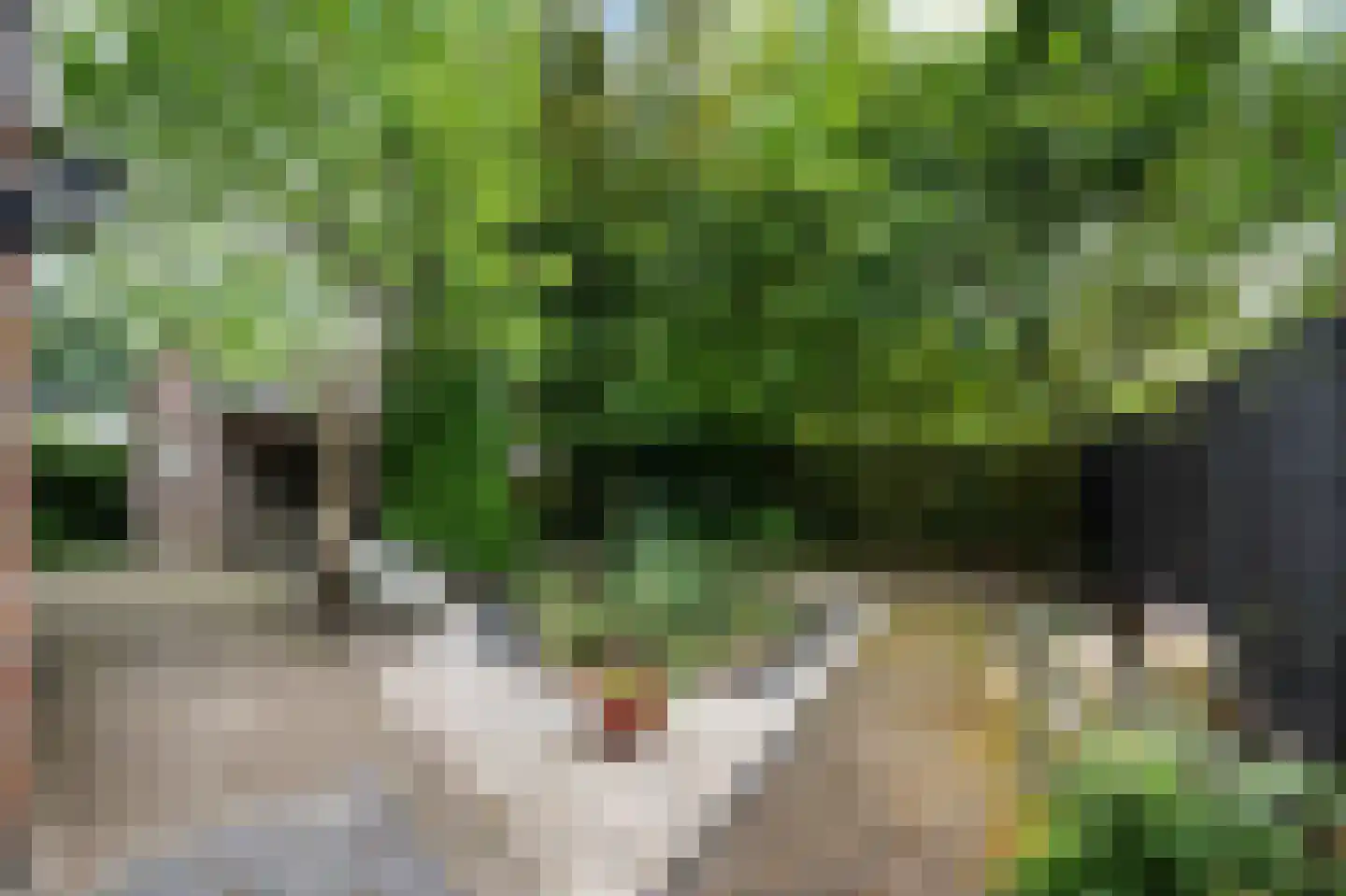 De Doeze 13 Klazienaveen thumbnail 42