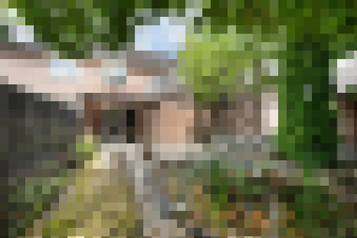 De Doeze 13 Klazienaveen thumbnail 43