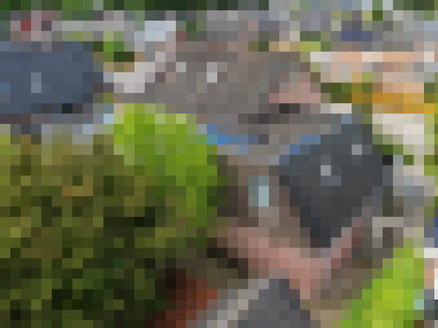 De Doeze 13 Klazienaveen thumbnail 46