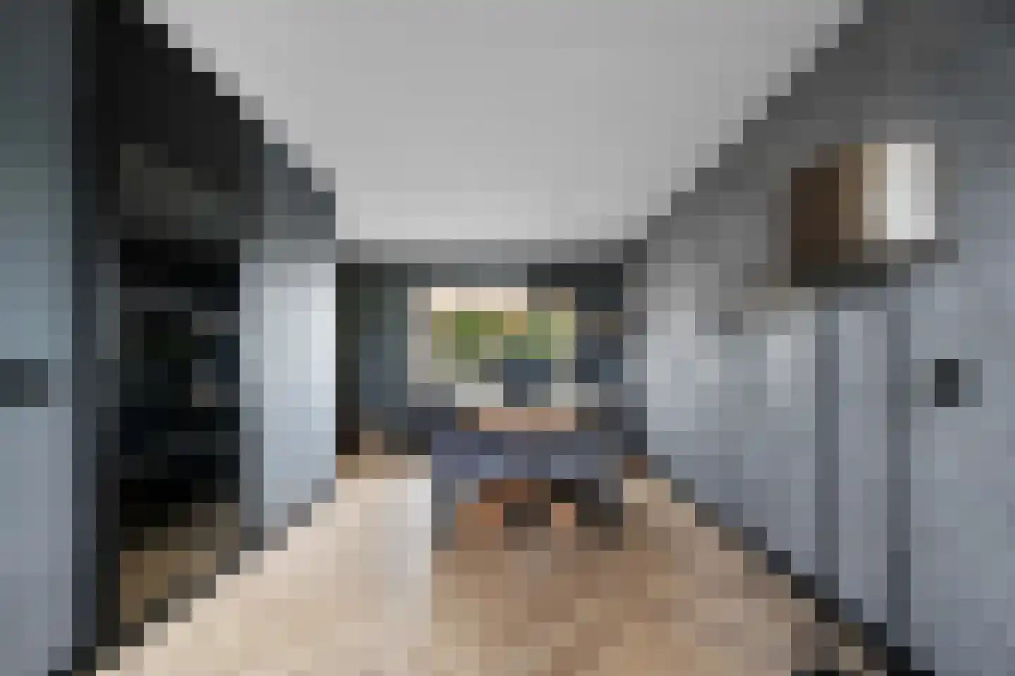 De Doeze 13 Klazienaveen thumbnail 8