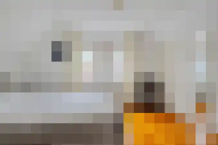 De Doeze 21 Klazienaveen thumbnail 15