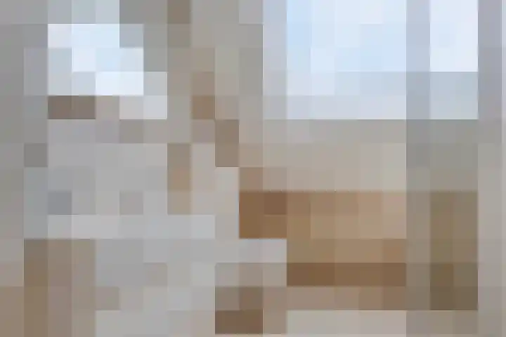 De Doeze 21 Klazienaveen thumbnail 17