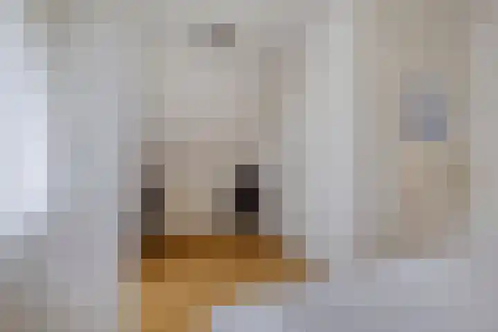 De Doeze 21 Klazienaveen thumbnail 19