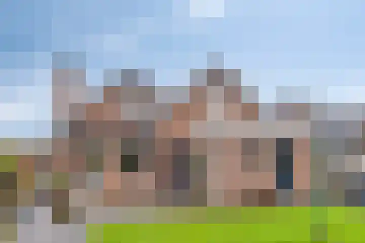 De Doeze 21 Klazienaveen thumbnail 21