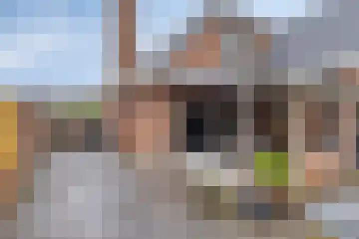 De Doeze 21 Klazienaveen thumbnail 25