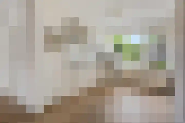 De Doeze 54 Klazienaveen thumbnail 13