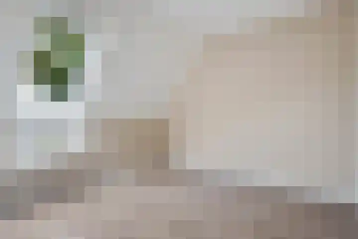 De Doeze 54 Klazienaveen thumbnail 23