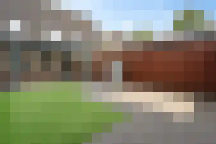De Doeze 54 Klazienaveen thumbnail 31