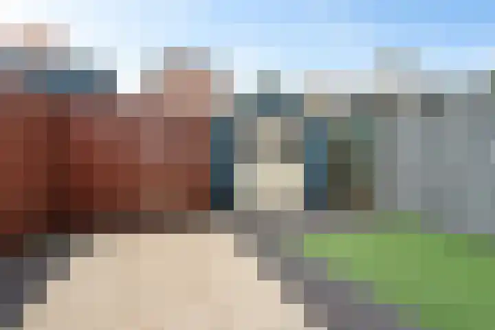 De Doeze 54 Klazienaveen thumbnail 35