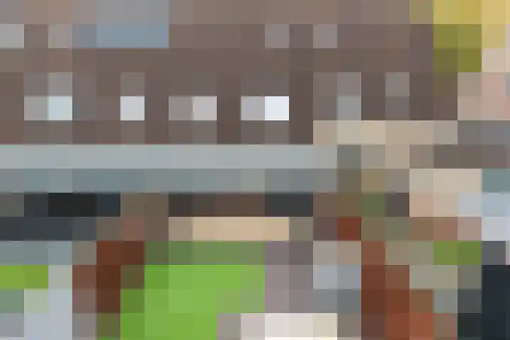 De Doeze 54 Klazienaveen thumbnail 37