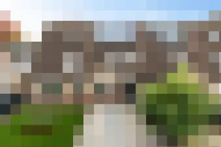 De Doeze 54 Klazienaveen thumbnail 39