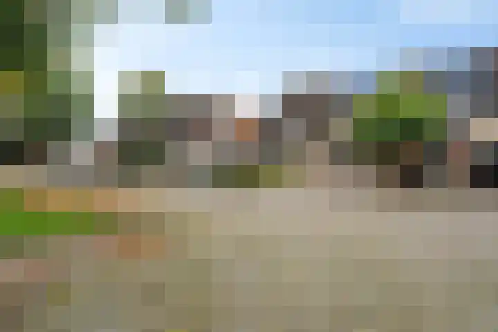 De Doeze 54 Klazienaveen thumbnail 4