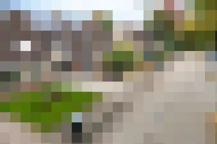 De Doeze 54 Klazienaveen thumbnail 40