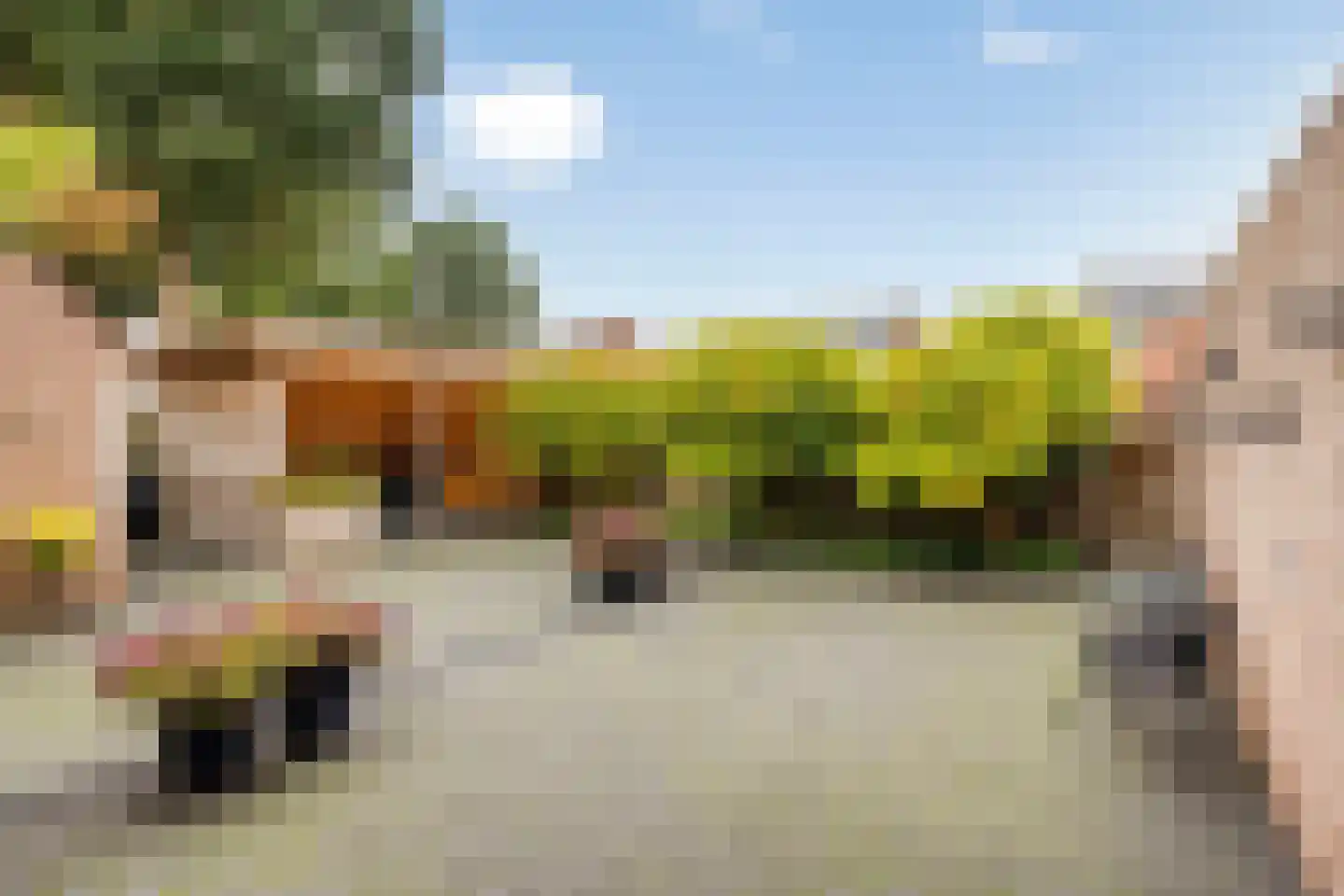 De Doeze 81 Klazienaveen thumbnail 17
