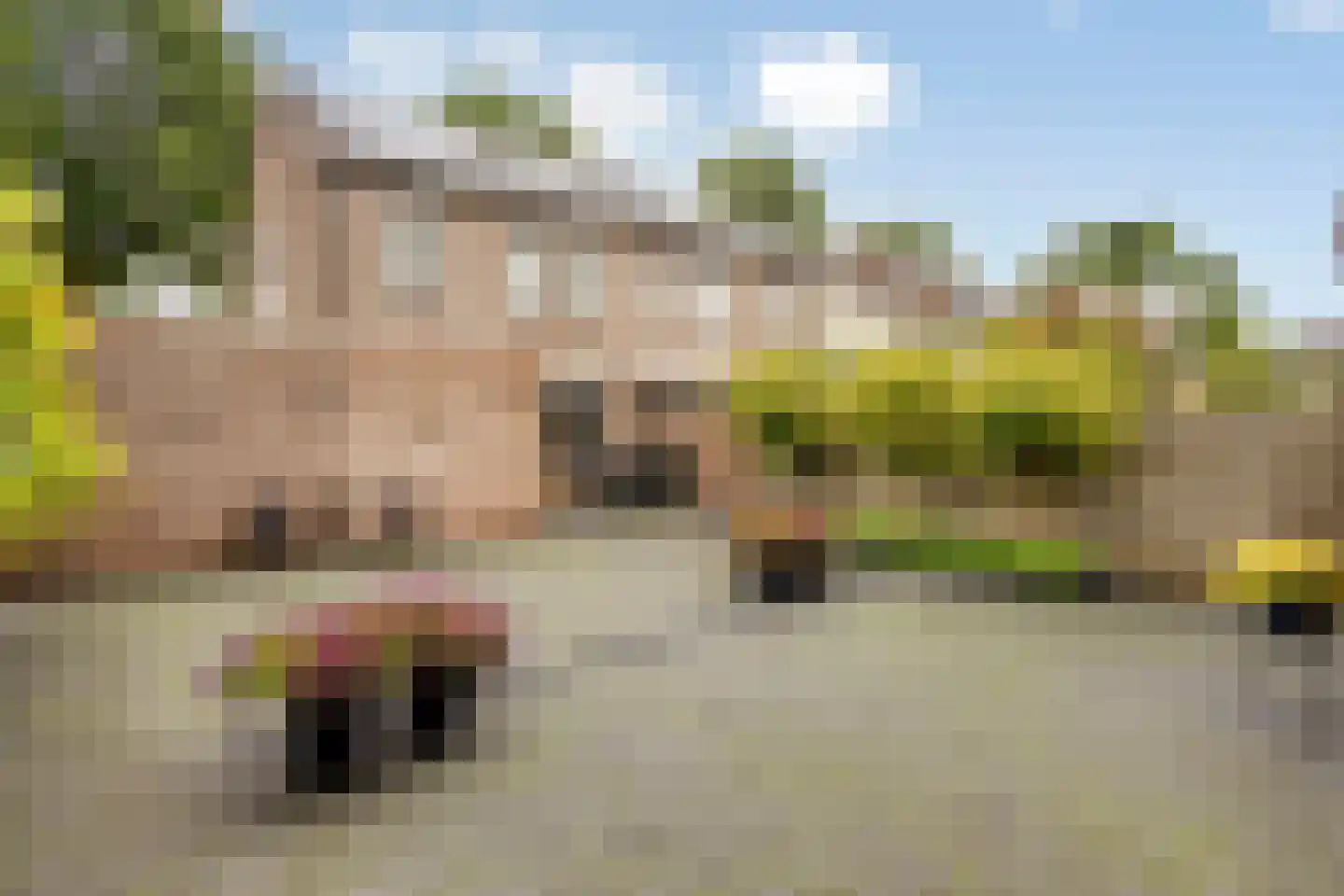 De Doeze 81 Klazienaveen thumbnail 19