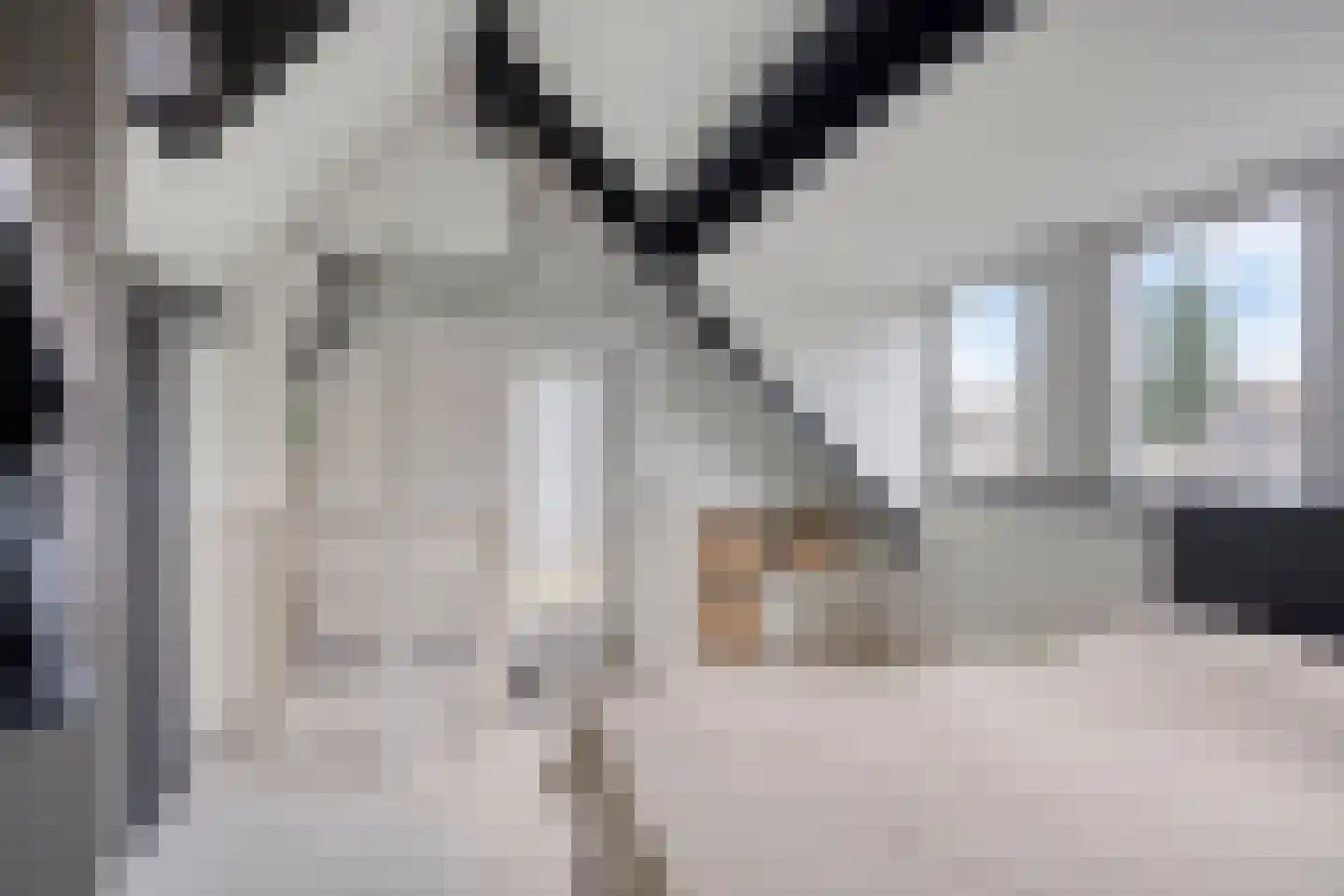 De Dollard 13 Veghel thumbnail 34