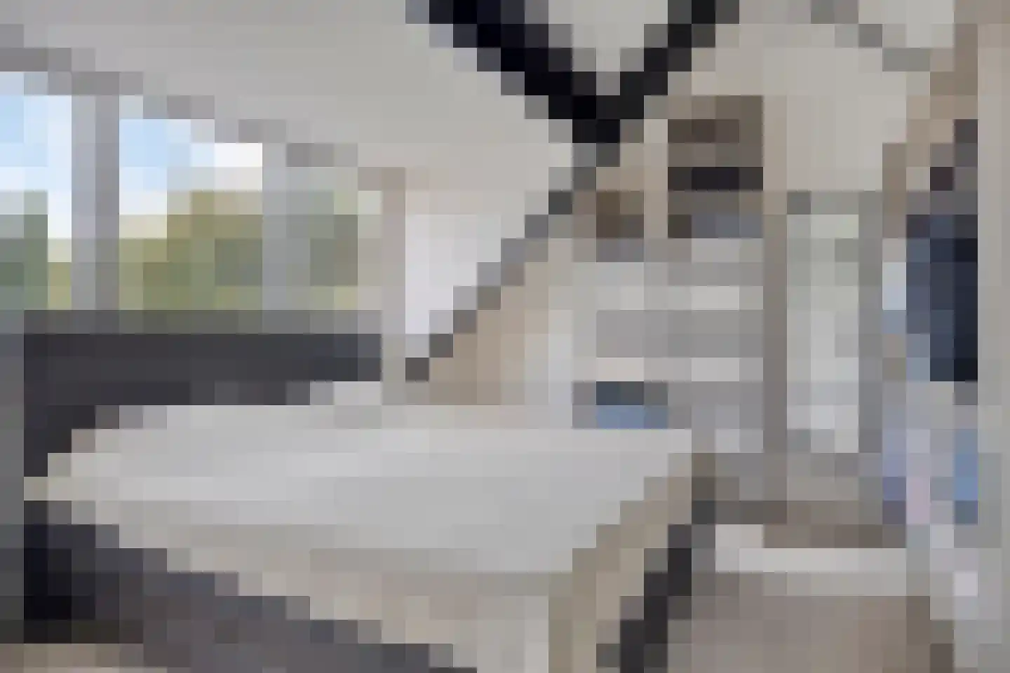 De Dollard 13 Veghel thumbnail 4
