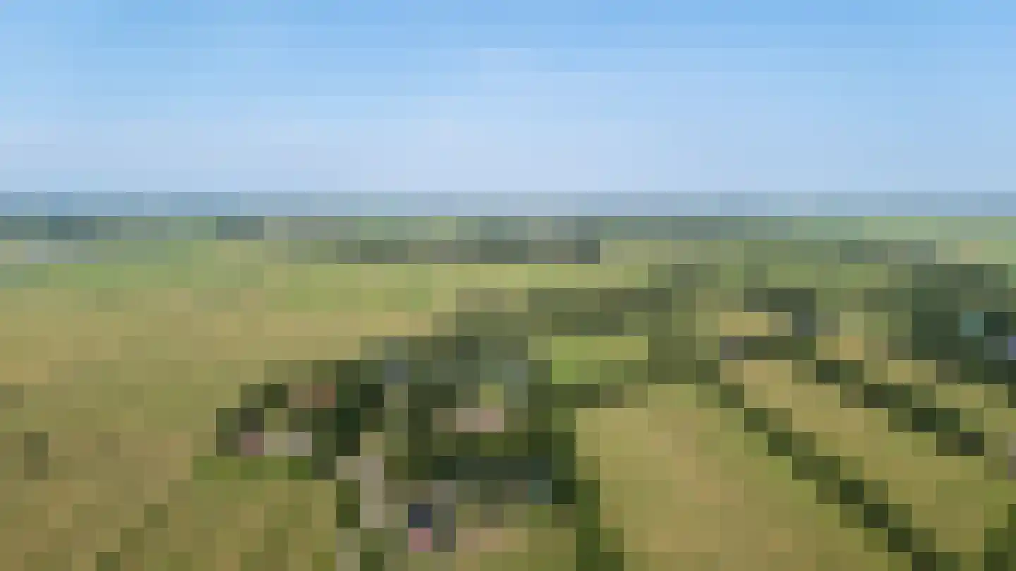 de Dôlle 16 A De Trieme thumbnail 4