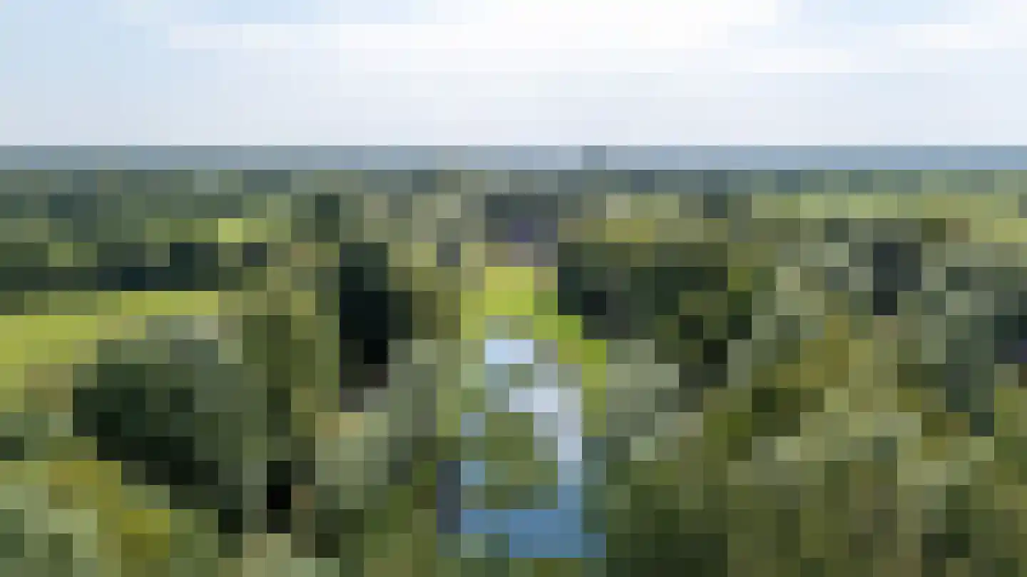 de Dôlle 16 A De Trieme thumbnail 78