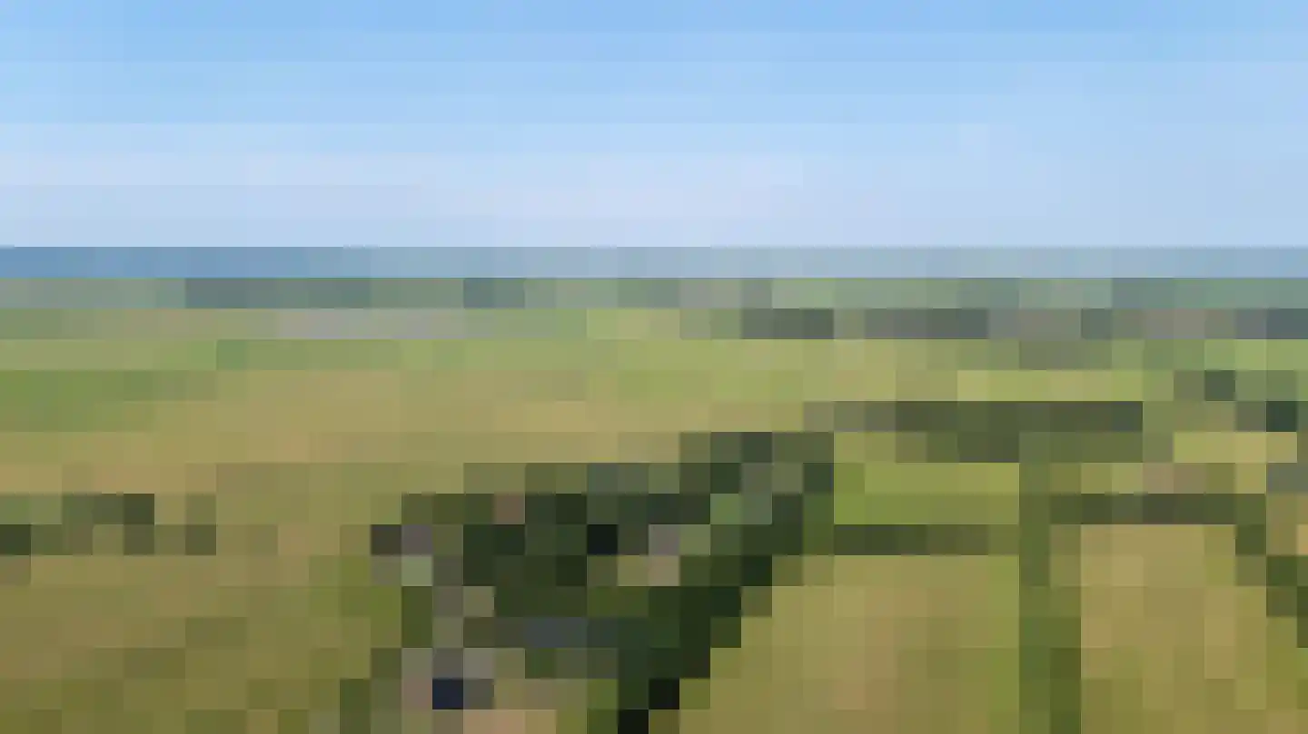 de Dôlle 16 A De Trieme thumbnail 80