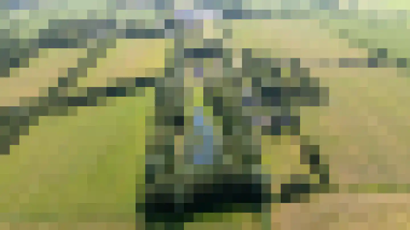 de Dôlle 16 A De Trieme thumbnail 81
