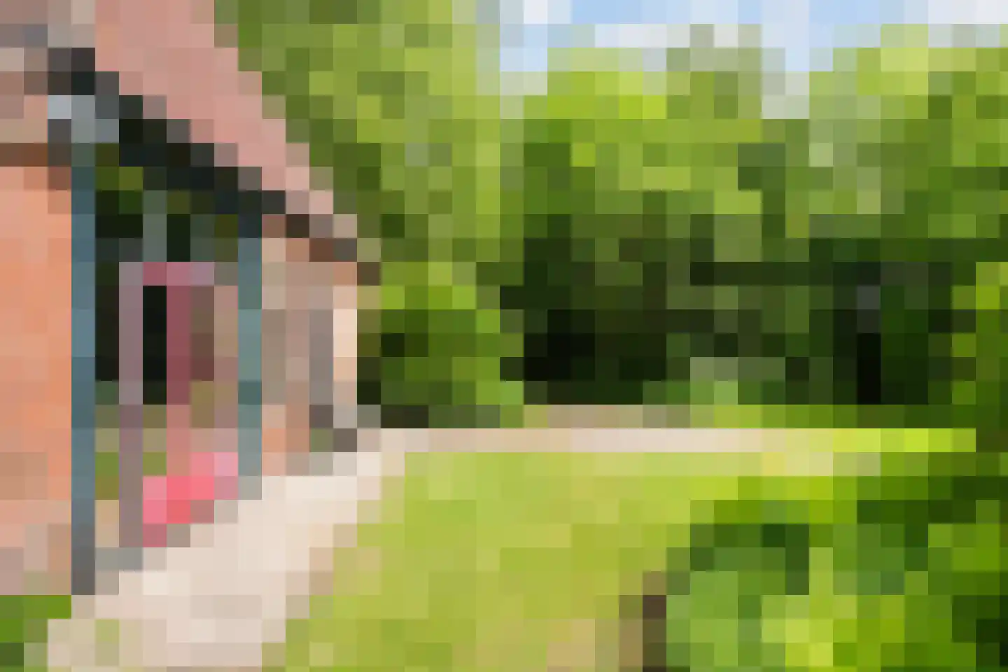 de Dôlle 17 De Trieme thumbnail 4