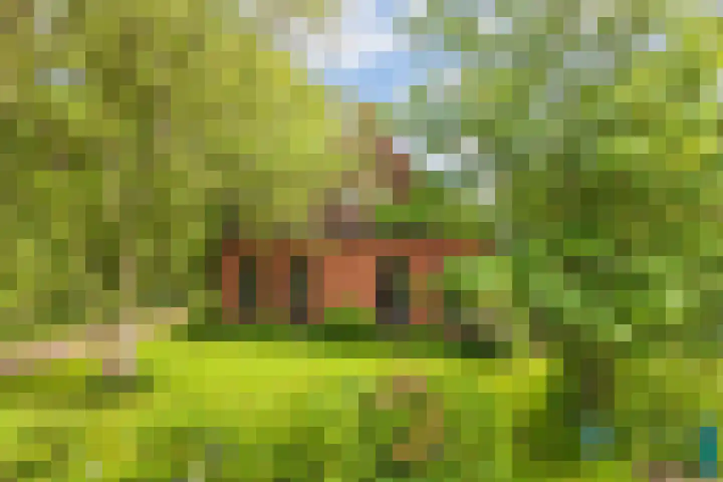 de Dôlle 17 De Trieme thumbnail 48